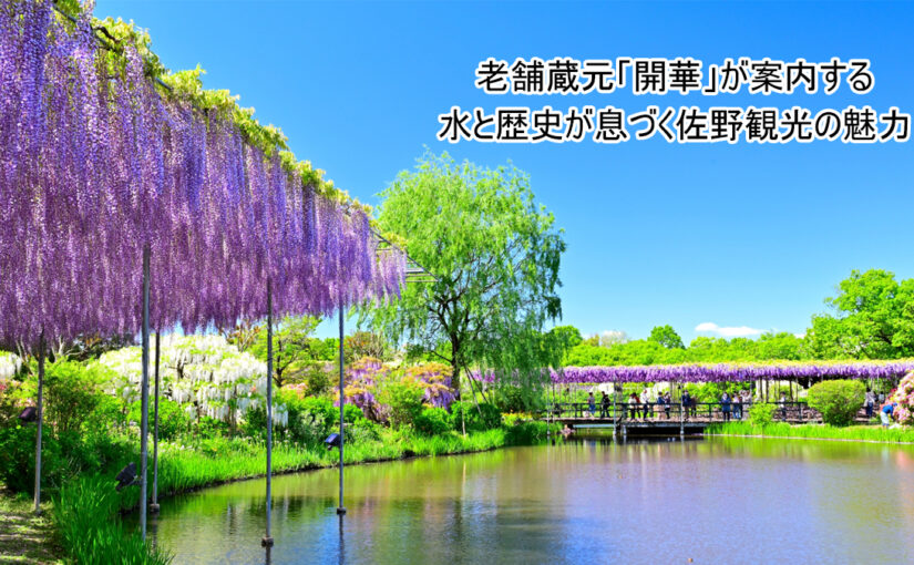 老舗蔵元「開華」が案内する、水と歴史が息づく佐野観光の魅力